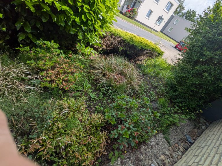 Fachgerechter Formschnitt und Heckenschnitt in Schwarmstedt – Reil-Service. Gepflegter Garten mit Formschnitt-Büschen