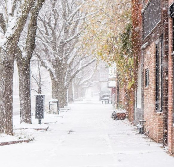 Schneebedeckter Gehweg neben einem Geschäft, umgeben von schneebedeckten Bäumen.