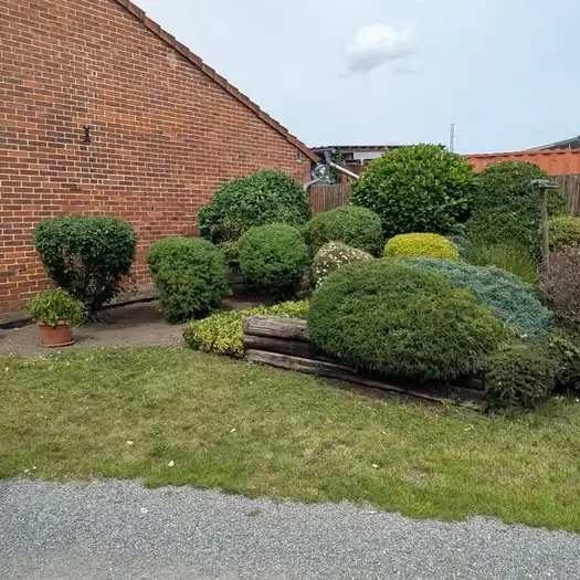 Gepflegte Sträucher und Formgehölze in einem Garten in Langenhagen