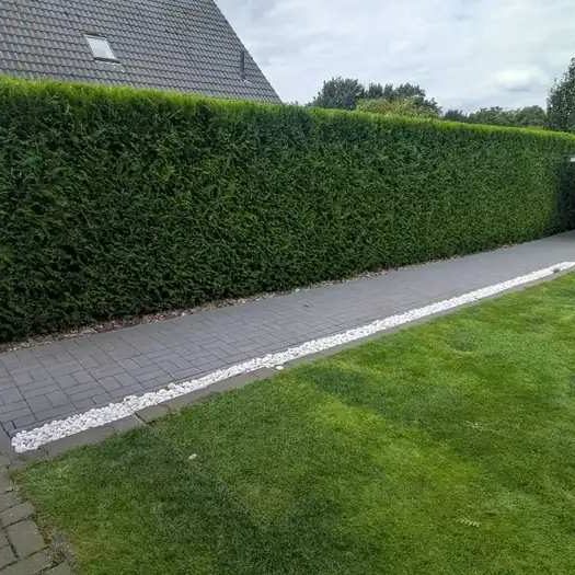 Professionelle Objektpflege und Außenanlagenpflege in Schwarmstedt