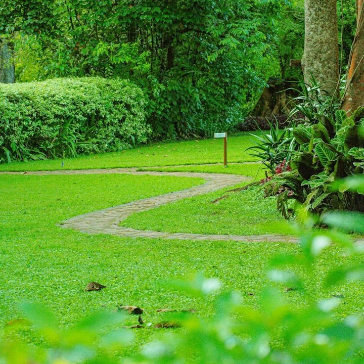 Wunderschöner, grüner Garten mit gewundenem Pfad und üppigen Pflanzen.