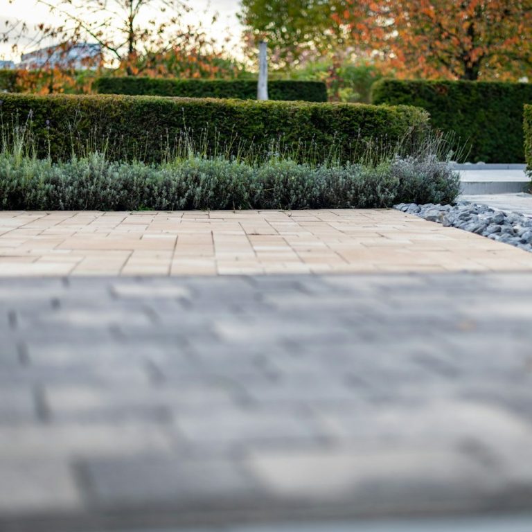 Gepflasterter Weg mit grünen Hecken und Sträuchern im Hintergrund.