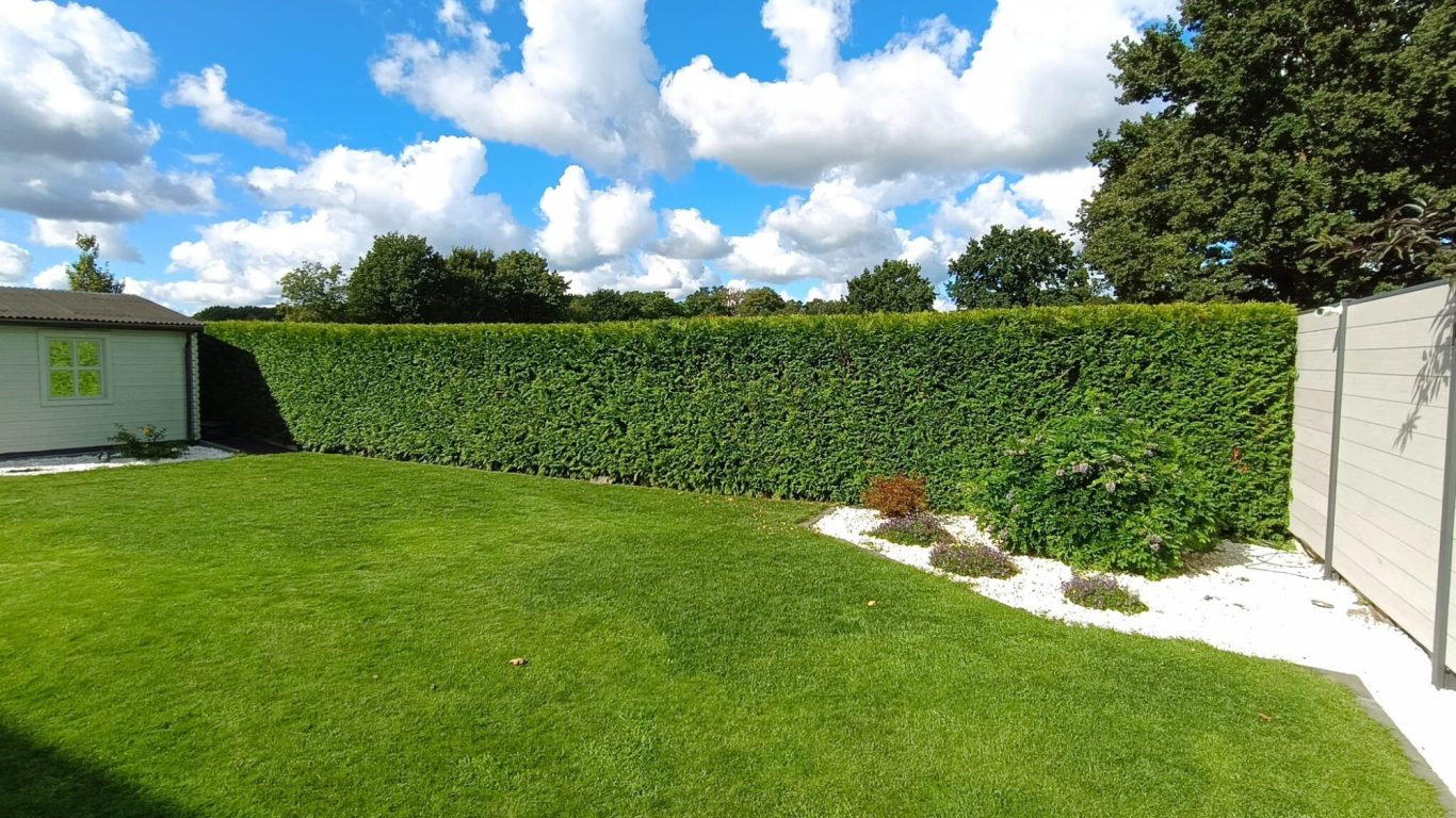 Professionelle Heckenformpflege Garbsen Formgeschnittene Gartenhecke bei Wohnhaus in Garbsen