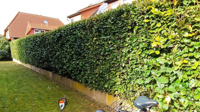 Hausmeisterservice Reil-Service Professioneller Heckenschnitt und Gartenpflege in Neustadt am Rübenberge durch Reil-Service.“