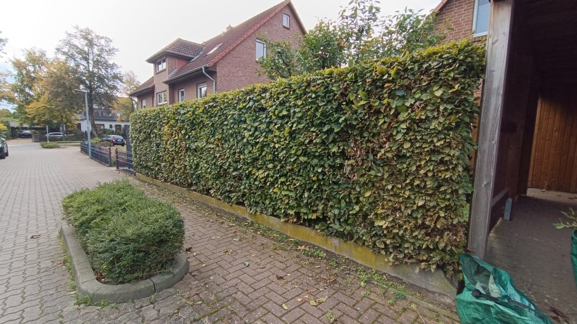 Heckenschnitt Basse Besenrein geschnittene Hecke inklusive Schnittgut-Entsorgung in Basse