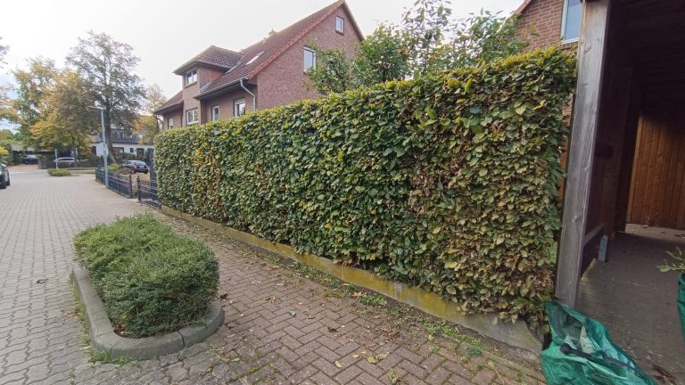 Heckeschneiden Basse Professioneller Heckenschnitt und Gartenpflege in Neustadt am Rübenberge durch Reil-Service.“