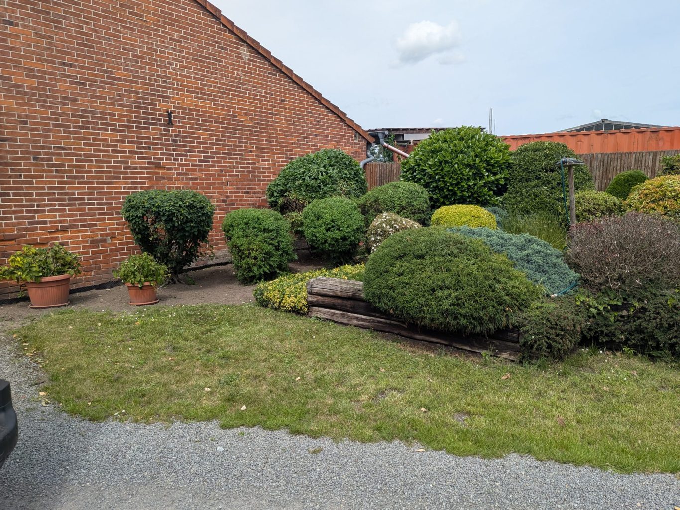 Strauch- und Formgehölzschnitt Garbsen Formgehölzschnitt und Strauchpflege im Vorgarten in Garbsen