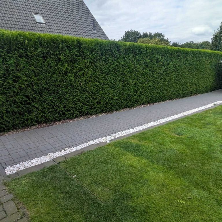 Heckenschnitt & Formpflege Garbsen Akkurater Heckenschnitt für hohe Sichtschutzhecke in Garbsen von Reil-Service