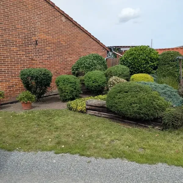 Gepflegte Sträucher und Hecke in einem Garten