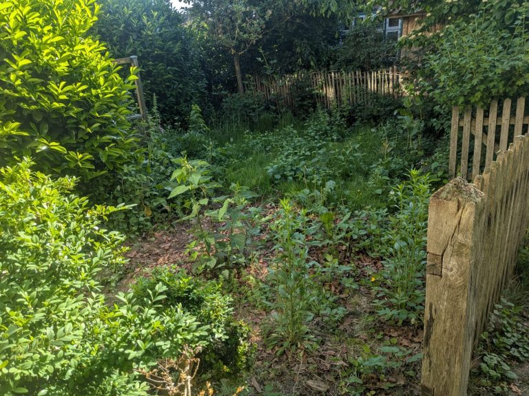 Pflanzen-Service Garten-Landschaftspflege Wedemark und Langenhagen