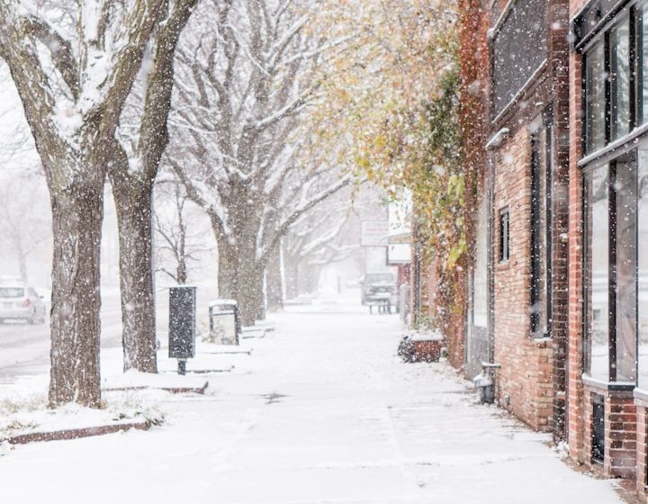 Schneebedeckte Straße mit Bäumen und Geschäften im Winter.