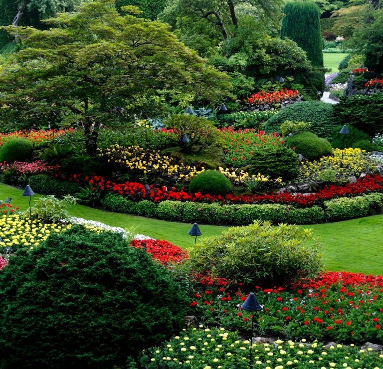 Bunte Blumenbeete und Grünanlagen in einem gepflegten Garten.